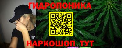 2c-b Канаш
