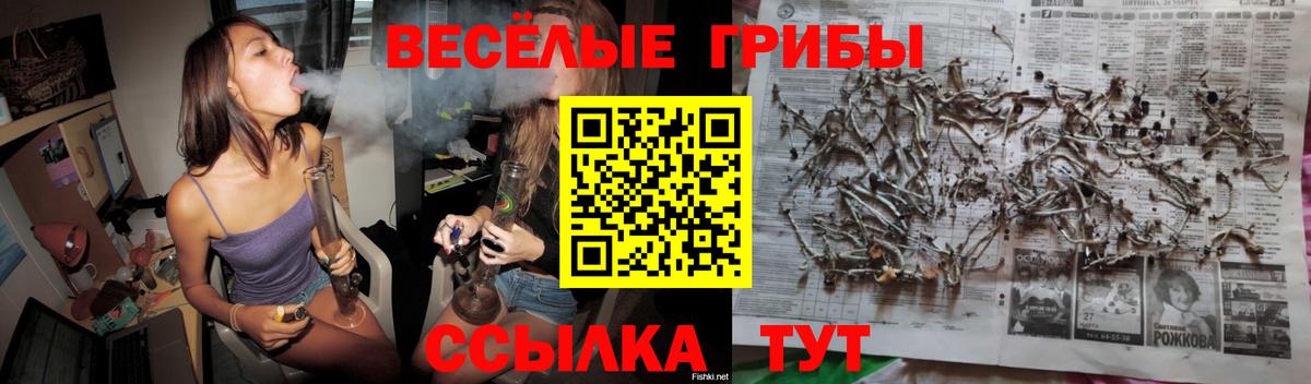 Дзержинский  Галлюциногенные грибы прущие грибы  Галлюциногенные грибы мухоморы  Вход с VPN 